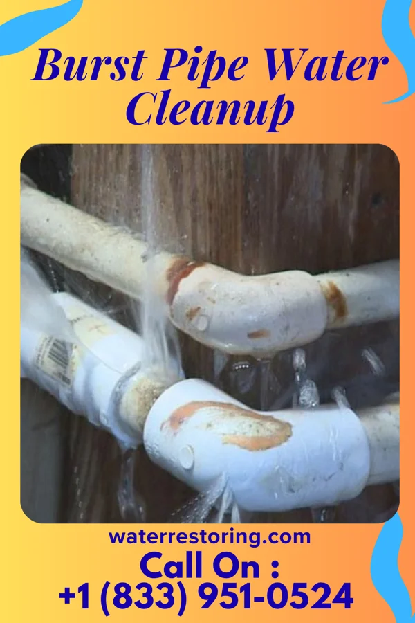 Burst Pipe Water Cleanup in Huntington, WV