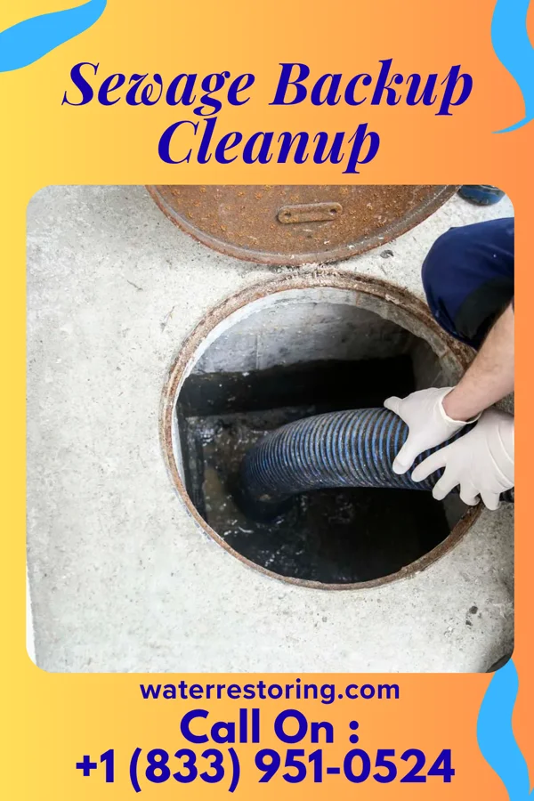 Sewage Backup Cleanup in Huntington, WV